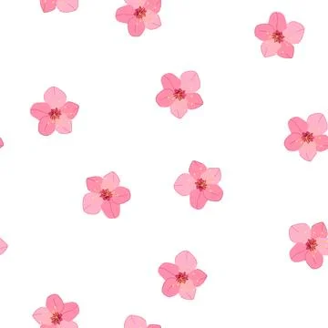 Pattern nature sakura cherry blossom cartoon vector Stock Illustration