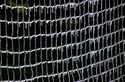 Pattern nature texture winter frozen volleyball Stock Photos