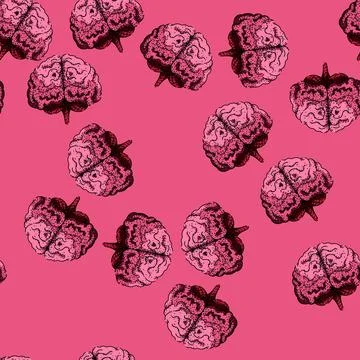 Pattern neuroplasticity brain sketch hand drawn 库存插图