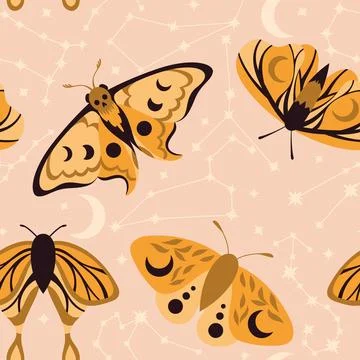 A pattern with night moths and constellations Stock Illustration