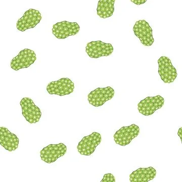 Pattern noni fruit illustrating healthy food and organic nutrition Stock Illustration