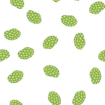 Pattern noni fruit revealing its textured green surface Stock Illustration