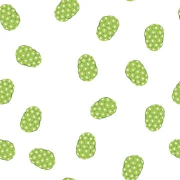 Pattern noni fruit vector representing tropical superfood Stock Illustration