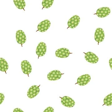 Pattern noni fruit vector, tropical superfood concept Stock Illustration