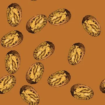 Pattern nut nutmeg spice sketch hand drawn Stock Illustration