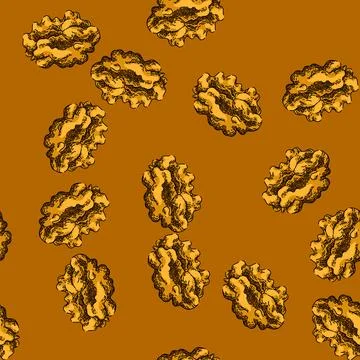 Pattern nut walnut sketch hand drawn 스톡 일러스트