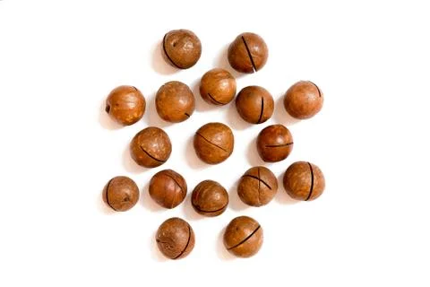 Pattern of nuts- inshell macadamia nut on a white background in the form of a Foto stock