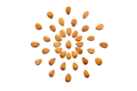 Pattern of Nuts - peeled apricot stone on a white background in the form of a 스톡 사진