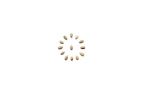 Pattern of Nuts - peeled peeled sunflower seeds on a white background in the  Fotos de archivo
