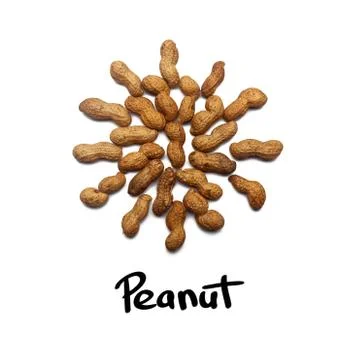 Pattern of Nuts - unpeeled peanuts on a white background in the shape of a ci Stock Photos