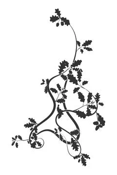 Pattern oak leaves and plant weaving new vector Stock Illustration