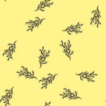 Pattern oatmeal oat plant sketch hand drawn Stock Illustration