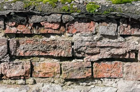 Pattern old brick wall and green moss close up Foto stock