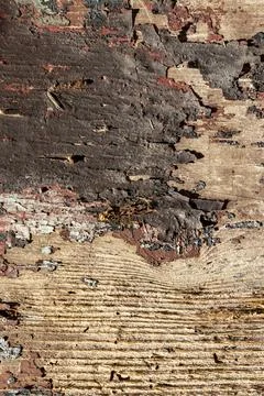 Pattern of old grunge painted and peeling wood wall Stock Photos