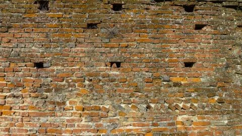 Pattern of  a old stone wall Stock Photos