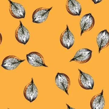 Pattern onion white sketch hand drawn illustration Stock Illustration