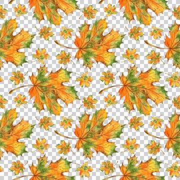 Pattern orange autumn maple leaves watercolor 스톡 일러스트