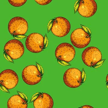 Pattern orange citrus sketch hand drawn illustration Stock Illustration