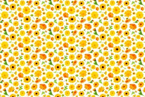 Pattern of orange flowers of calendula on a white background, as a backdrop o Illustrazione stock