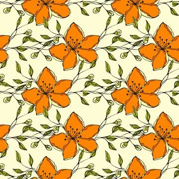 Pattern orange flowers hand drawn doodle. Stock Illustration