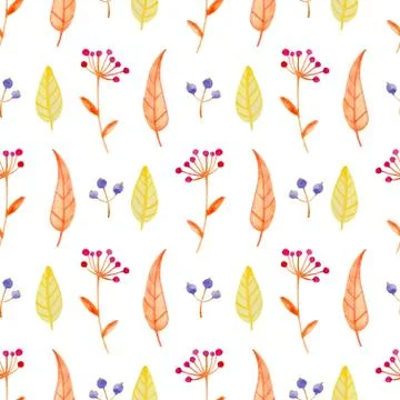 Pattern with orange leaves and berry. Stock Illustration