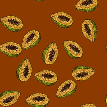 Pattern orange papaya fruit sketch hand drawn Illustrazione stock