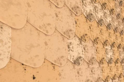 Pattern of orange rounded roof tiles 스톡 일러스트