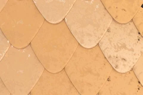 Pattern of orange rounded roof tiles Illustrazione stock