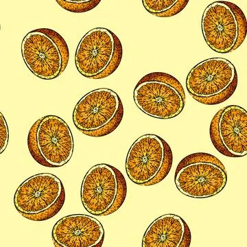 Pattern orange slice sketch hand drawn illustration Illustrazione stock