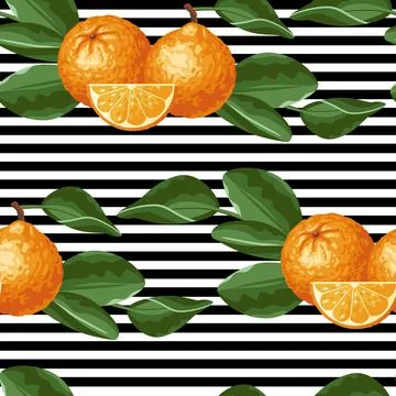 Pattern of oranges on the background of stripes Illustrazione stock