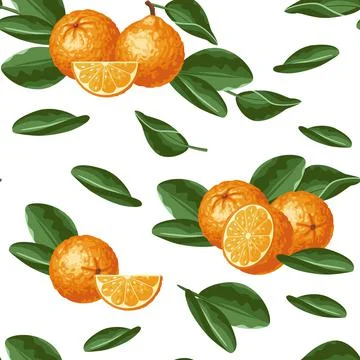 Pattern of oranges on a white background Illustrazione stock