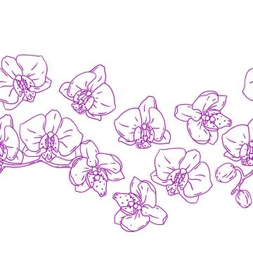 Pattern with orchid flowers. Beautiful decorative plants. Stock Illustration