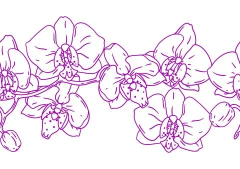 Pattern with orchid flowers. Beautiful decorative plants. Stock Illustration