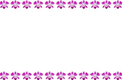 Pattern from orchid for web background 스톡 일러스트