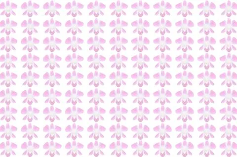 Pattern from orchid for web background Stock Illustration