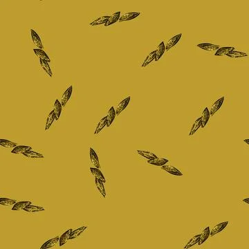Pattern organic cumin sketch hand drawn Stock Illustration