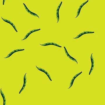 Pattern organic geen beans sketch hand drawn イラスト素材