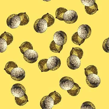 Pattern organic longan fruit sketch hand drawn Stock Illustration