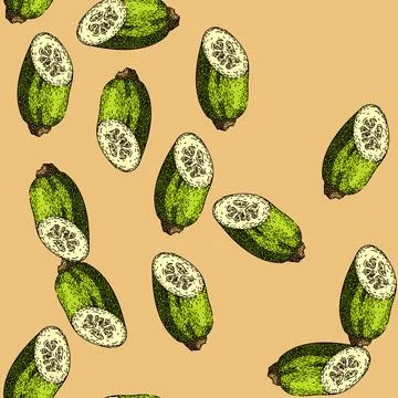 Pattern organic marrow vegetable sketch hand drawn Stock Illustration