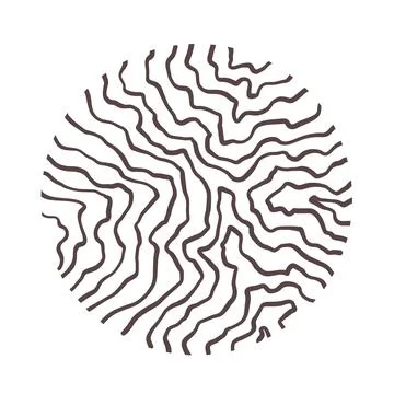 Pattern ornament texture in circle Illustrazione stock