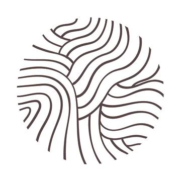 Pattern ornament texture in circle Stock Illustration