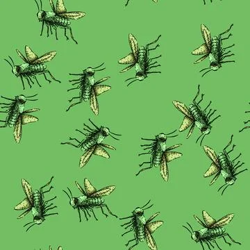 Pattern orthoptera grasshopper sketch hand drawn Stock Illustration