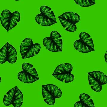 Pattern outline monstera leaf sketch hand drawn Stock Illustration
