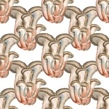 Pattern with oyster mushrooms Stock Illustration