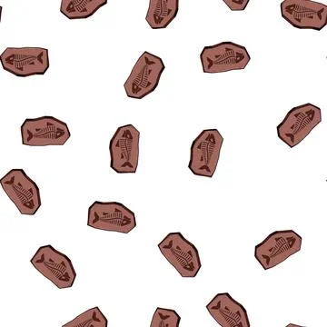 Pattern paleontology fossil cartoon vector Stock Illustration