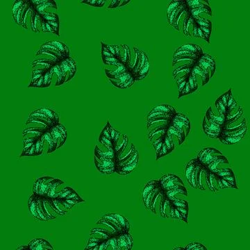 Pattern palm monstera leaf sketch hand drawn 库存插图