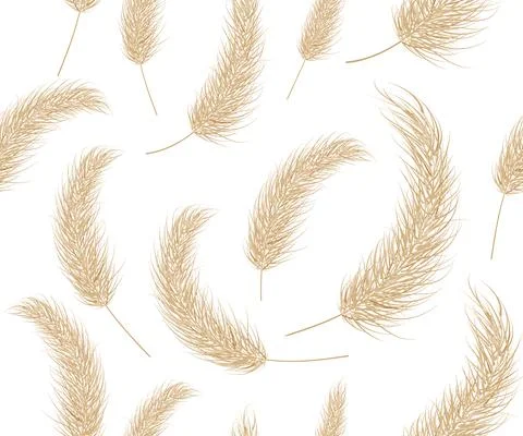 Pattern of pampas dry grass boho. Branch seamless background of pampas grass. Stock Illustration