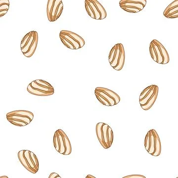 Pattern pan mexican conchas cartoon vector Stock Illustration