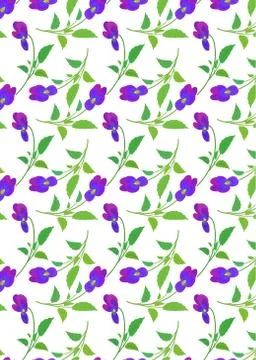 Pattern with Pansy flowers and multicolor circles. Stock Illustration