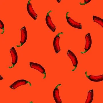 Pattern paprika chili pepper sketch hand drawn Stockillustratie